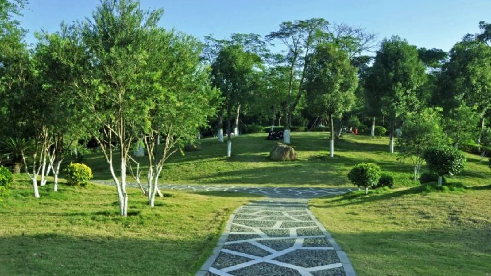 悟空体育赛事数据与直播主视觉